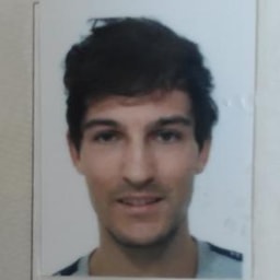 Davide Gotti
